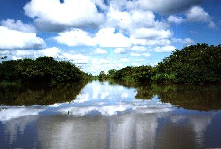 Wet season in the llanos